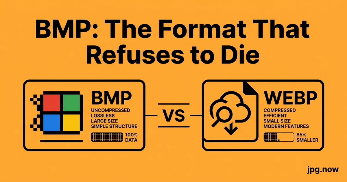 BMP: The Format That Refuses to Die