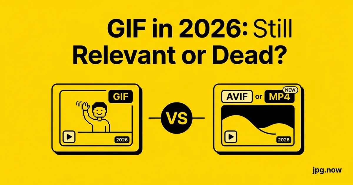 GIF in 2026: Still Relevant or Dead?