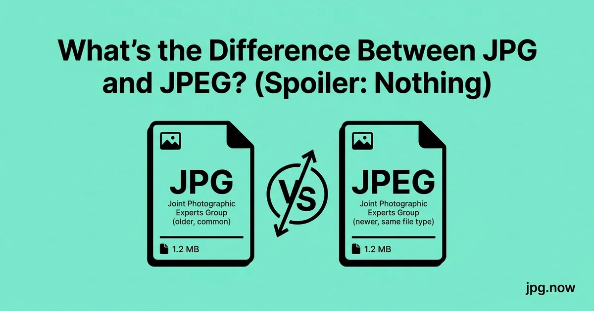What's the Difference Between JPG and JPEG? (Spoiler: Nothing)
