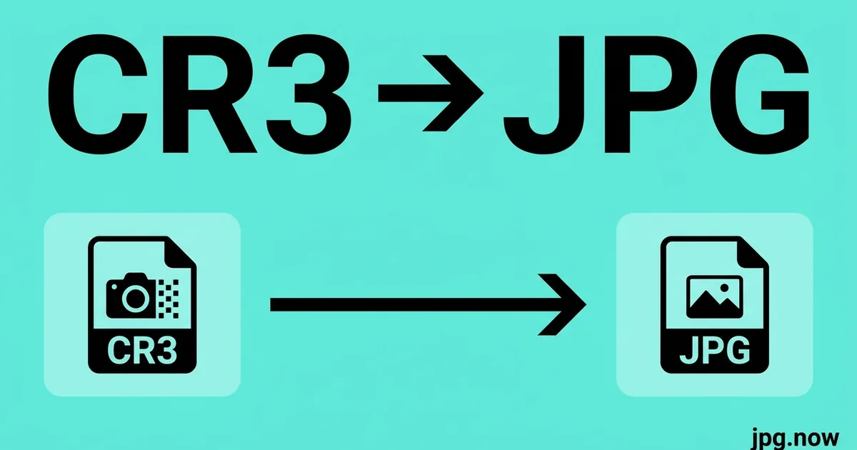Convert CR3 to JPG Online Free