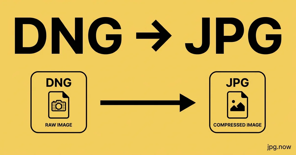 Convert DNG to JPG Online Free