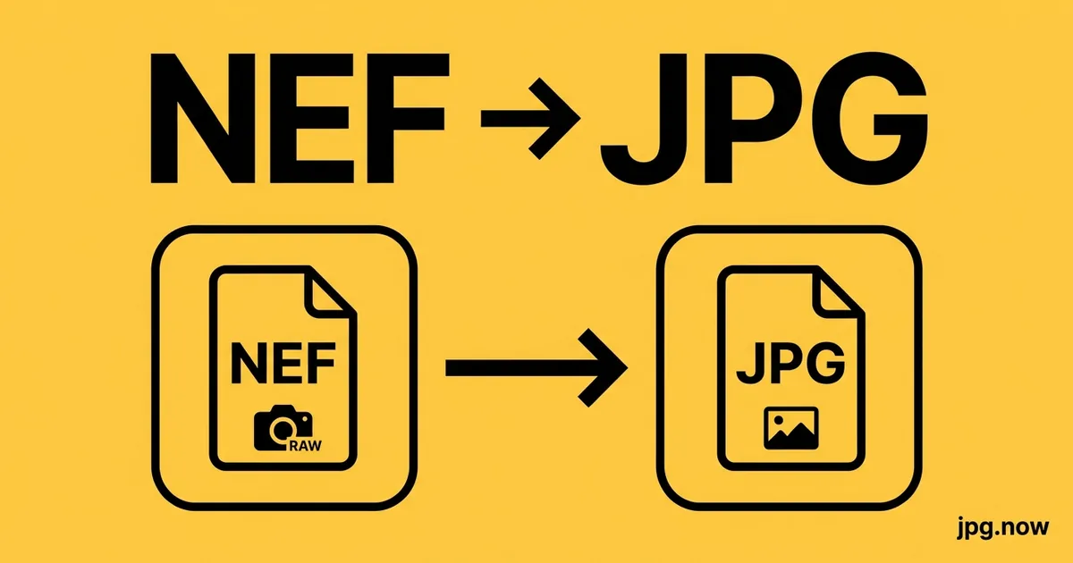 Convert NEF to JPG Online Free