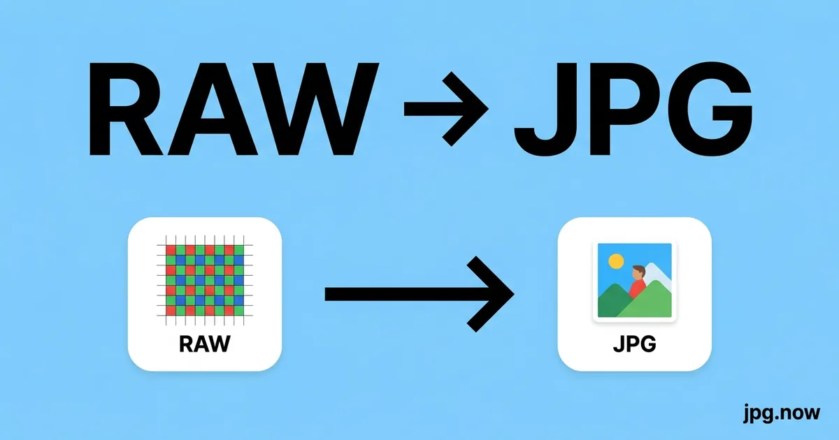 Convert RAW to JPG Online Free