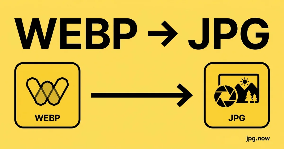 Convert WebP to JPG Online Free