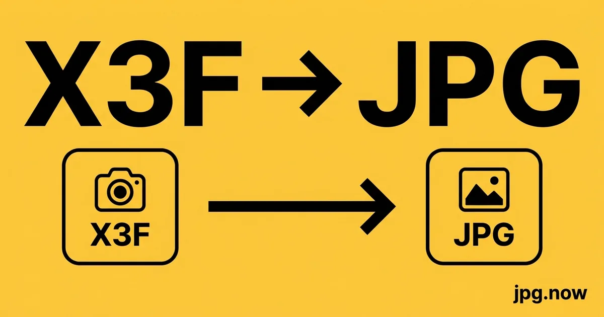 Convert X3F to JPG Online Free